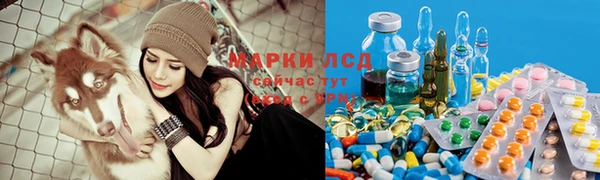 jwh Аркадак