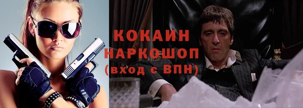 гидра Арсеньев