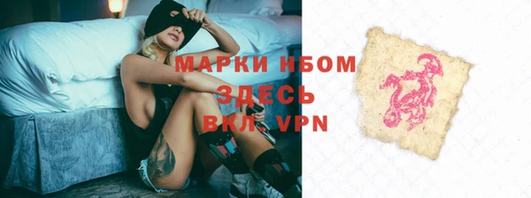 гидра Арсеньев