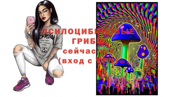 jwh Аркадак