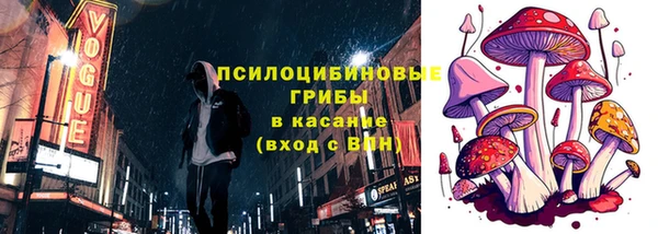 гидра Арсеньев