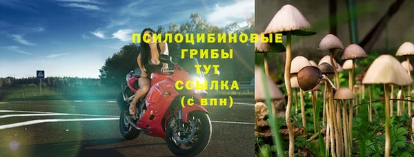 гидра Арсеньев